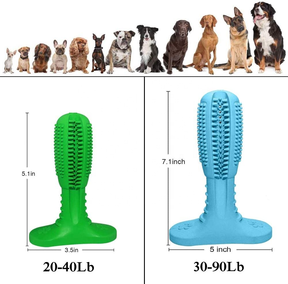 8005