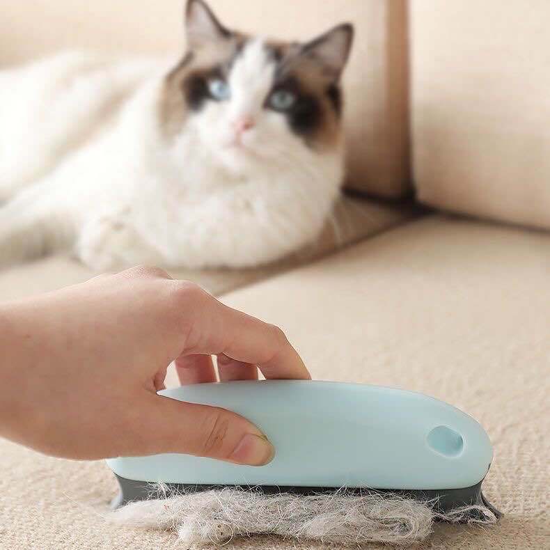 9006