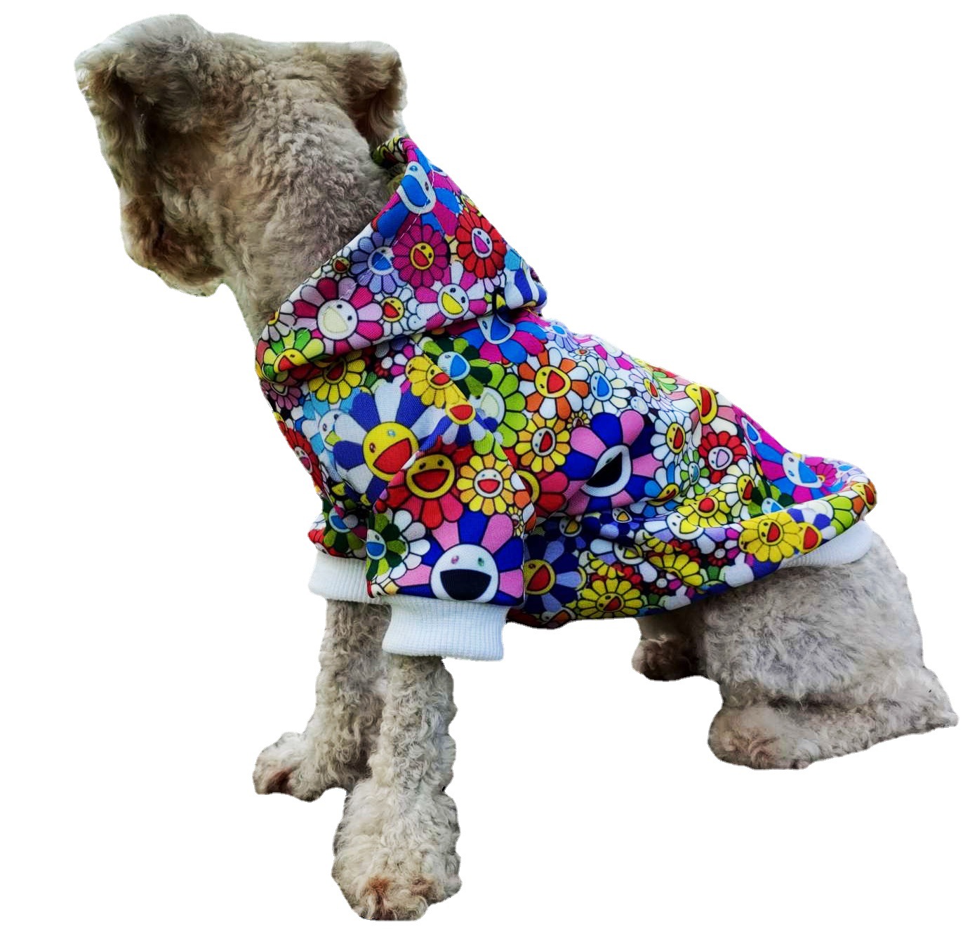Luxury pet hoodies--->More