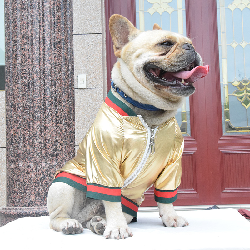 Luxury pet jacket--->More