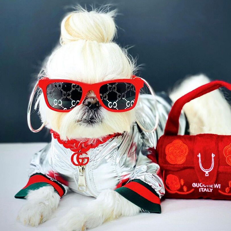Luxury pet jacket--->More