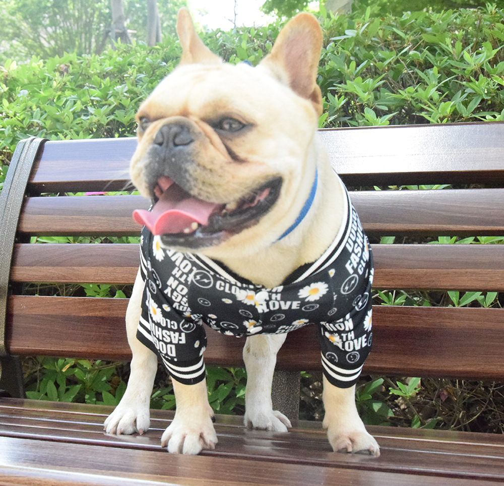 Luxury pet sweater coat--->More