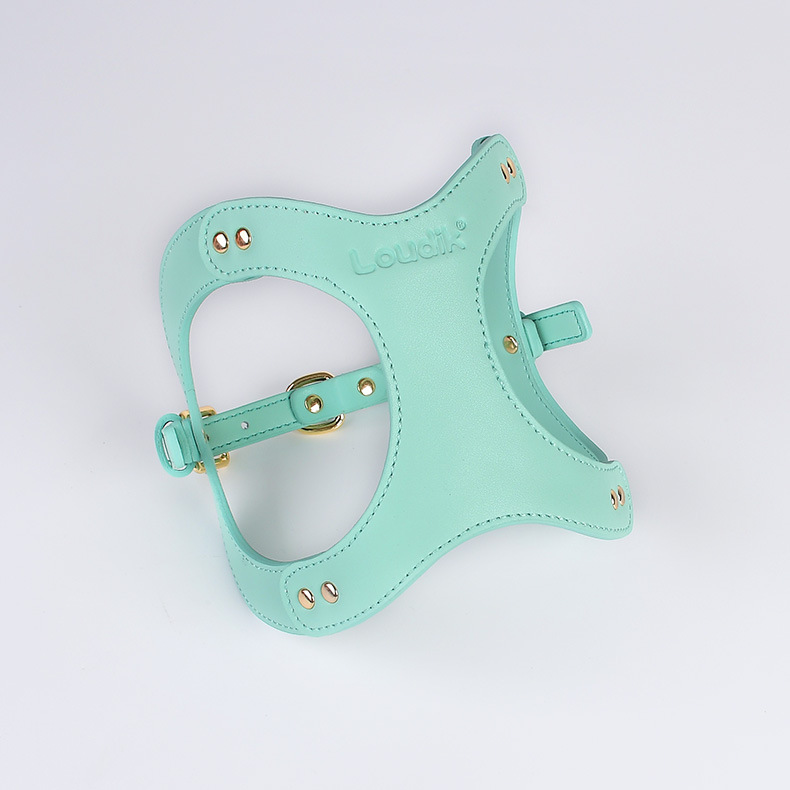 Vegan Genuine Leather set--->More