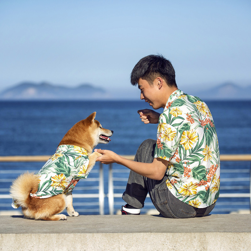 Hawaiian clothes--->More