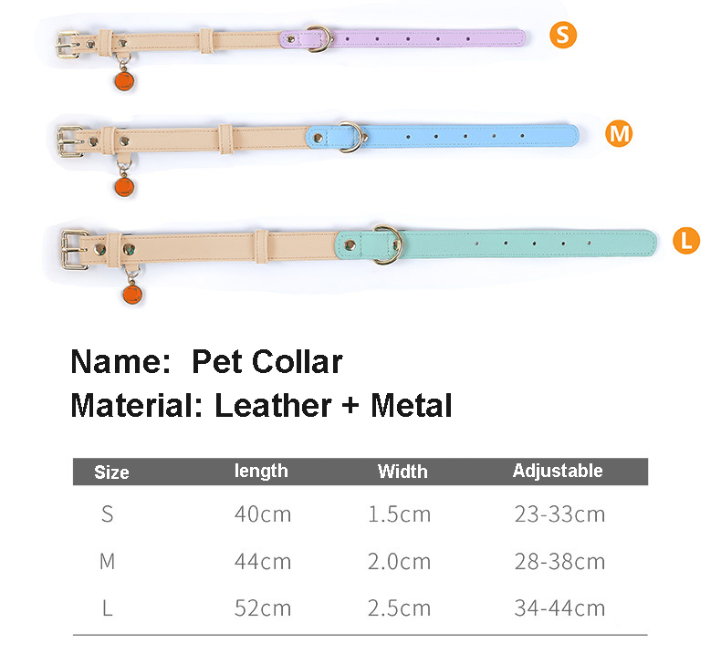 all in one set collar and leash(图3) all in one set collar and leash(图3)
