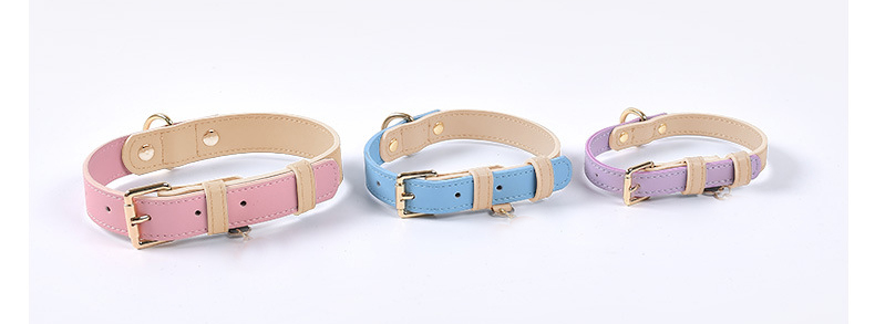 all in one set collar and leash(图5) all in one set collar and leash(图5)