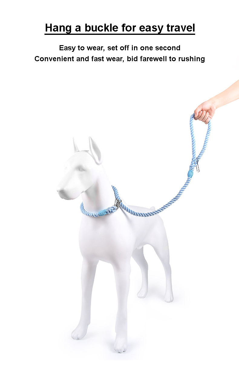 Collar leash car safty set(图5) Collar leash car safty set(图5)