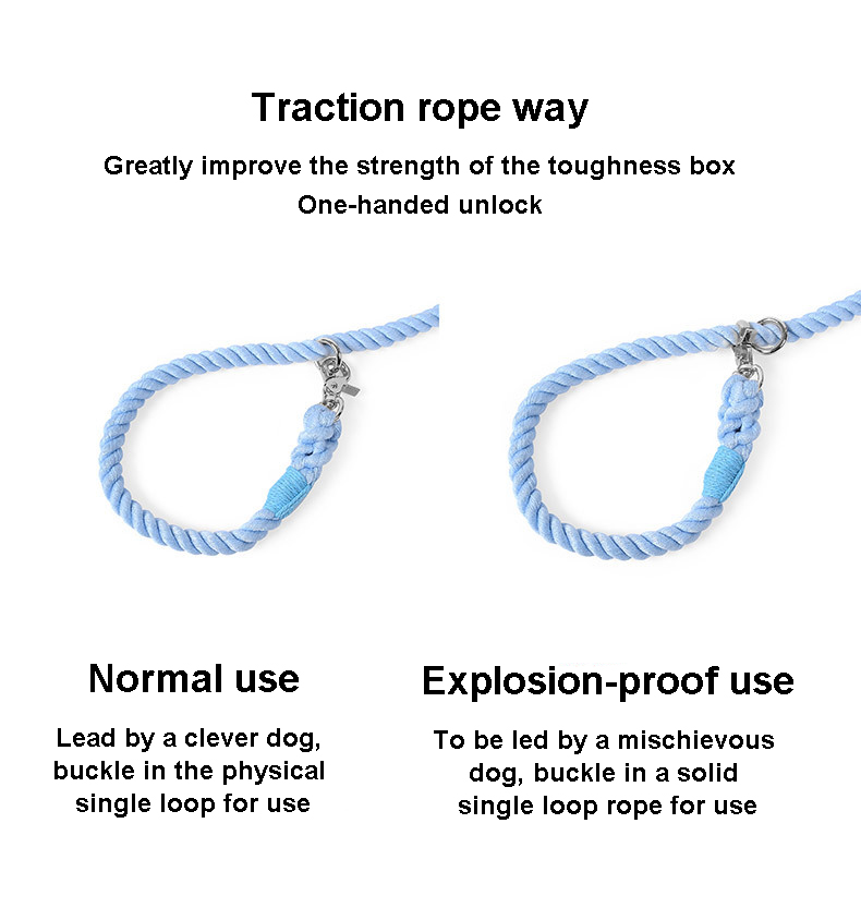 Collar leash car safty set(图8) Collar leash car safty set(图8)