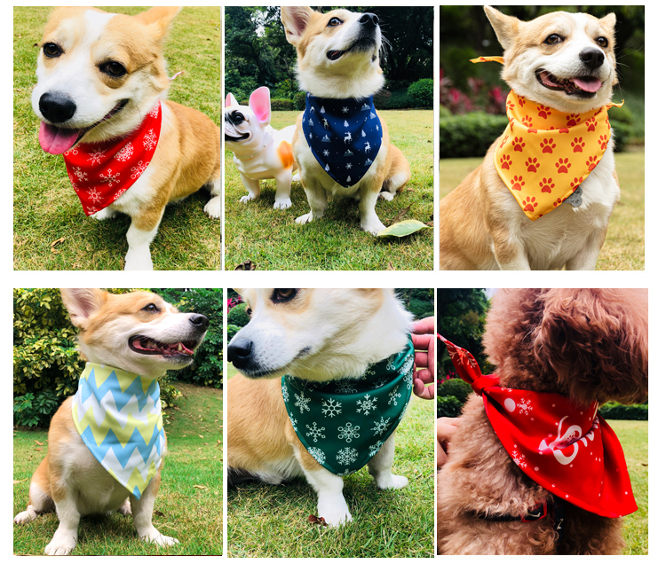 Customized many styles pet bandana(图5)