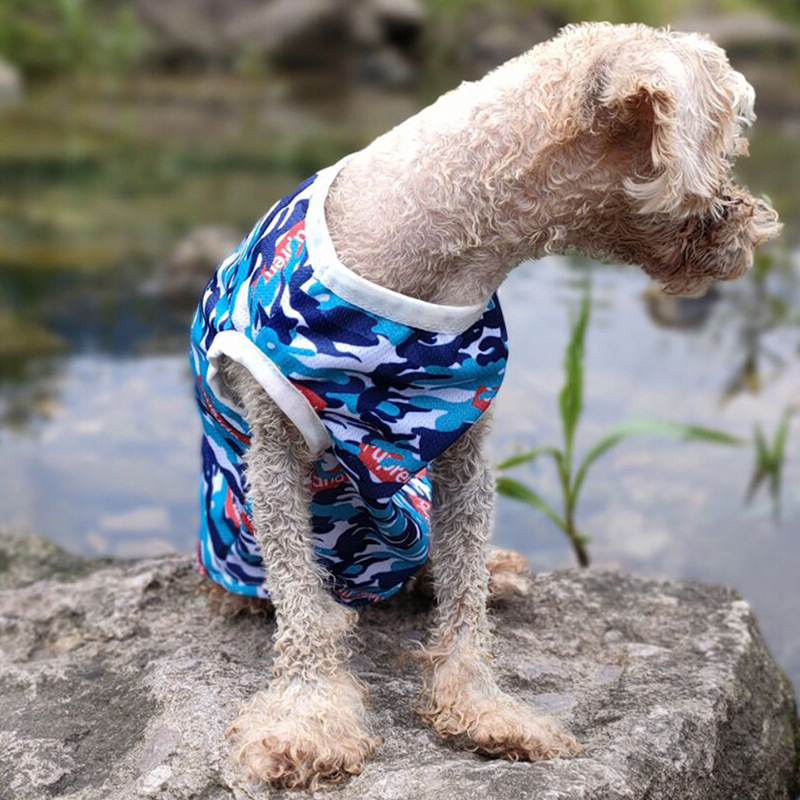 Pet vest(图1) Pet vest(图1)
