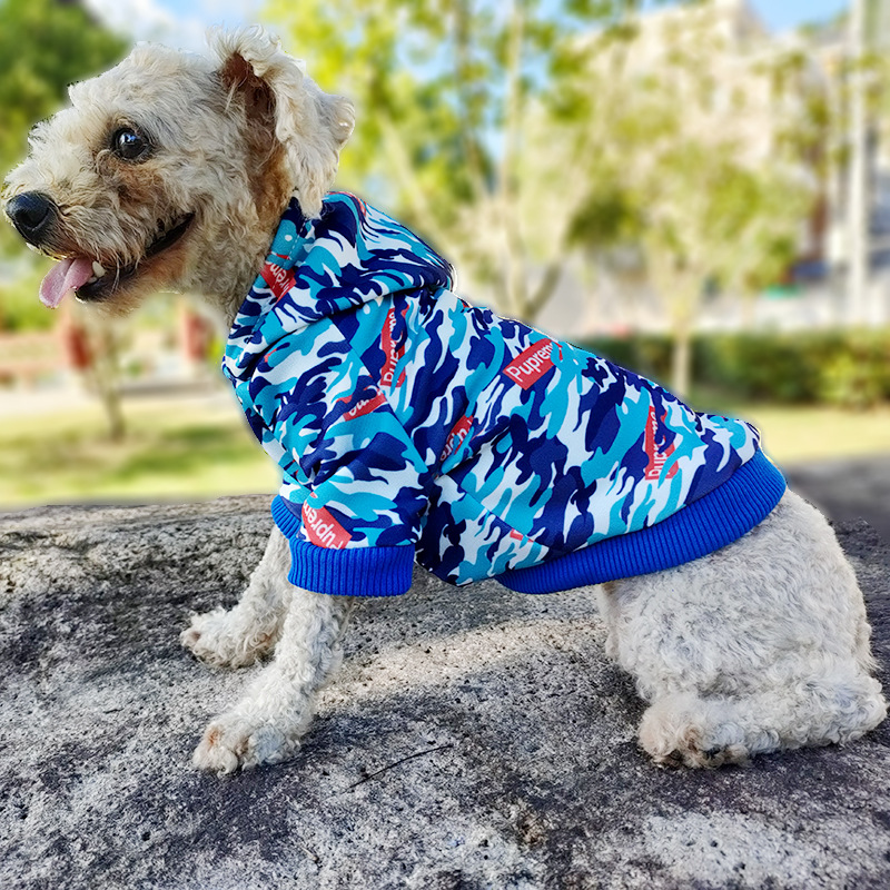 Luxury pet hoodies--->More(图1) Luxury pet hoodies--->More(图1)